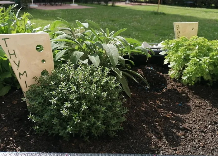 Albizia-apartments Apartment Baden